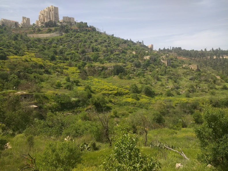Lifta landscape
