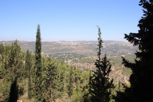 Making Neighborhoods More Walkable Making Neighborhoods More Walkable