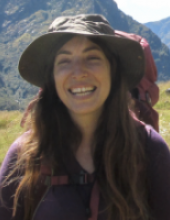 Ori Shechtman